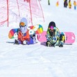 5天渔阳双板初级滑雪冬令营（走读）