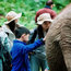 【西双版纳独立】5天保育亚洲象+见证生物多样性+傣寨人文|雨林科考探索夏令营