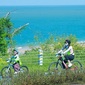 2027海南亲子6天海南亲子骑行冬令营|赶海拉地笼+挑战冲浪+探秘山钦湾燕子洞
