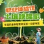1日非遗职业体验研学营|官砖瓦匠+土壤唤醒家+生态小卫士
