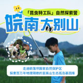 5天昆虫生态自然探索研学营|森林徒步+趣味溯溪探索+小小生态监测员