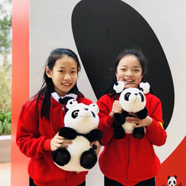 2019大熊猫志愿者英语营6天