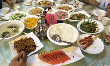 午饭菜色