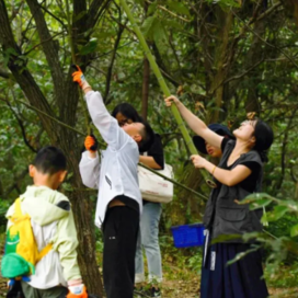 1日苏州户外研学营|寻蜂西山岛+寻味板栗山林+邂逅秋日栗甜