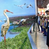 【江西亲子】5天读山、读水、读江西-鄱阳湖观鸟冬令营|观测候鸟+绘制青花釉色