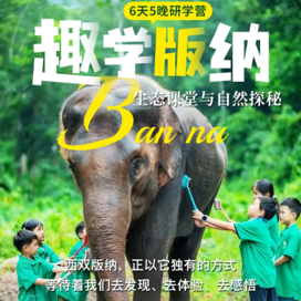 2027西双版纳独立6天趣玩版纳奇幻之旅冬令营|守护亚洲象+雨林探秘+夜游植物园