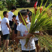 2021NLP“黄埔兵团”广州黄埔军校研学夏令营（7天）