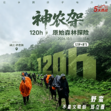 6天神农架森林探险营｜高山徒步+野外露营+少年意志锻造