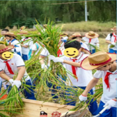 1天中秋团圆营｜阖家赏月+趣味手作+秋日短途出游