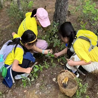 【香格里拉】6天自然科考研学夏令营|虎跳峡徒步+拜访滇金丝猴+唐卡体验