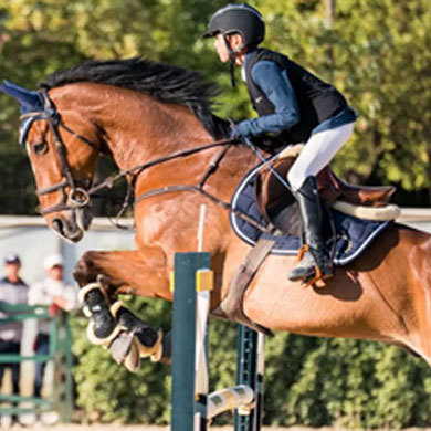 14天马术夏令营|骑士精神+马匹养护+专业的马术授课