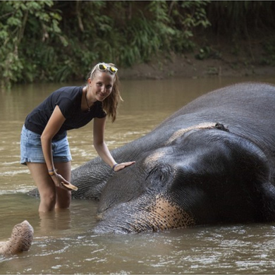 泰国大象保护志愿者