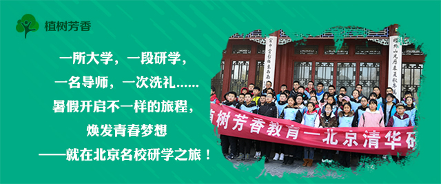 植树芳香教育夏令营