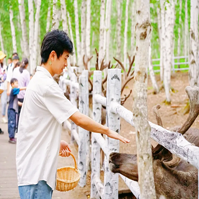 【呼伦贝尔独立】6天最美呼伦贝尔夏令营|星空牧场+特色食宿美食+草原巴特