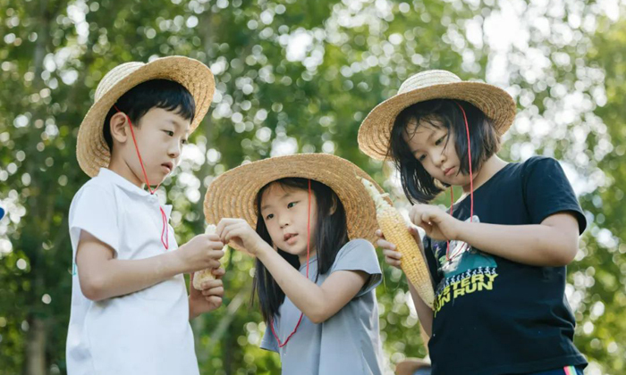 【亲子】【单飞】1天识玉米、学农事、烹美食，一起走在向往的田野上|收获季周末营