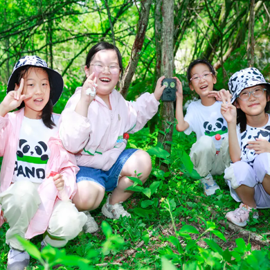 【成都独立】6天大熊猫科研探索夏令营|深入熊猫王国+PBL项目制学习+沉浸科考