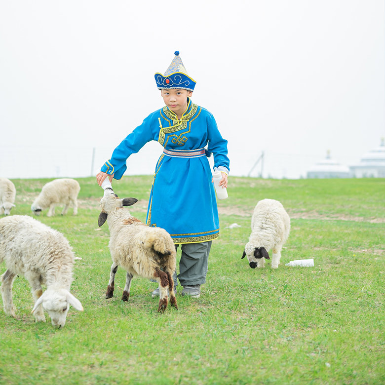 7天“风与牧歌”草原研学夏令营|探秘游牧文化+多元美景鉴赏