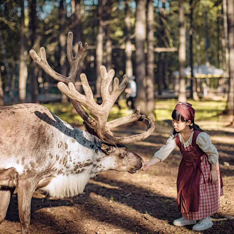 7天“风与牧歌”草原研学夏令营|探秘游牧文化+多元美景鉴赏