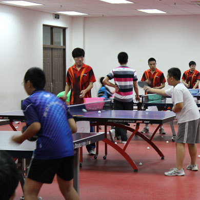 “乒乓少年”国球训练夏令营（6天）
