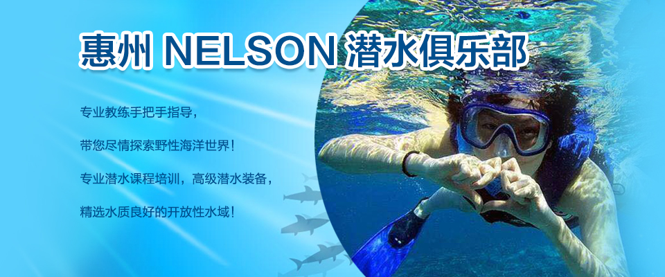 惠州NELSON潜水
