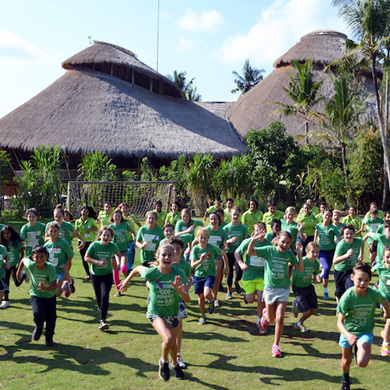 2018年巴厘岛绿色环保之旅（7天）
