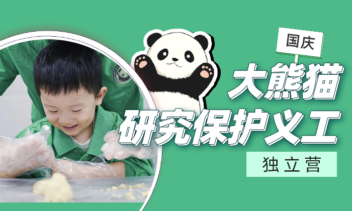 5天大熊猫研究保护义工独立营（国庆）