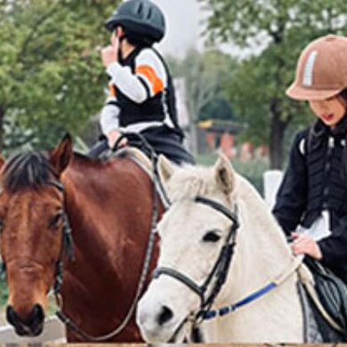 14天马术夏令营|骑士精神+马匹养护+专业的马术授课