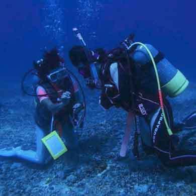探索海底世界潜水冬令营（三亚）