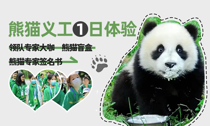 【天天发团】1天熊猫义工+领队专家大咖+盲盒|大熊猫铲屎官独立营