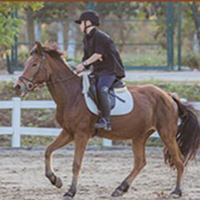14天马术夏令营|骑士精神+马匹养护+专业的马术授课