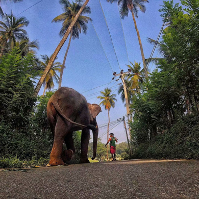 2019斯里兰卡-一带一路文化环保小使者