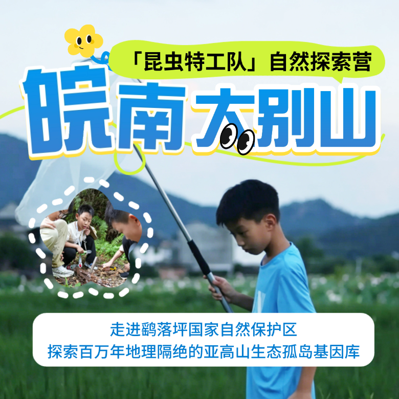 5天昆虫生态自然探索研学营|森林徒步+趣味溯溪探索+小小生态监测员