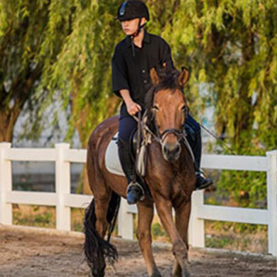 14天马术夏令营|骑士精神+马匹养护+专业的马术授课