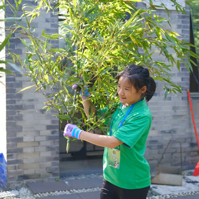 【成都独立】6天大熊猫科研探索夏令营|深入熊猫王国+PBL项目制学习+沉浸科考