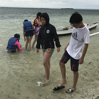 2019菲律宾2线一海边度假式学习口语强化提升（亲子、青少年、成年人）