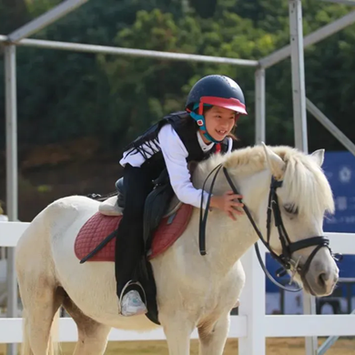 【深圳】5天高尔夫+马术训练夏令营|骑士精神+绅士风度+技能品格双提升